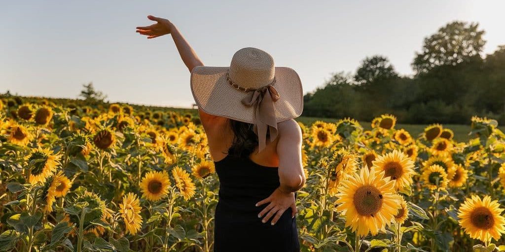 me-recovery sunflowers